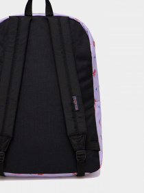 Рюкзаки JanSport модель EK0A5BAG1D91 Фото