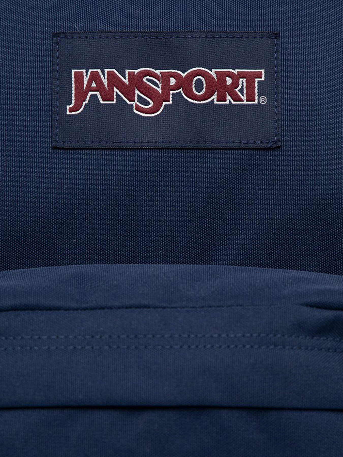 Рюкзаки JanSport модель EK0A5BAGN541 Фото