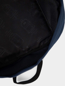 Рюкзаки JanSport модель EK0A5BAGN541 Фото