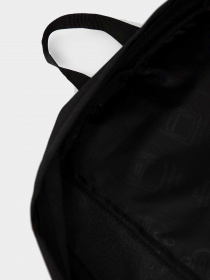 Рюкзаки JanSport модель EK0A5BAGN551 Фото