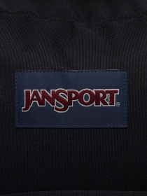 Рюкзаки JanSport модель EK0A5BAGN551 Фото