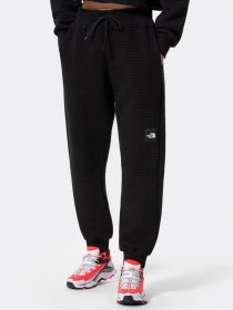 Брюки The North Face модель NF0A5ICWJK31 Фото