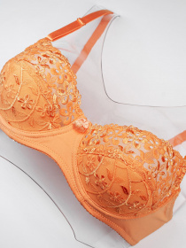 Бюстгальтер ISSA Plus модель BL2-667_orange Фото