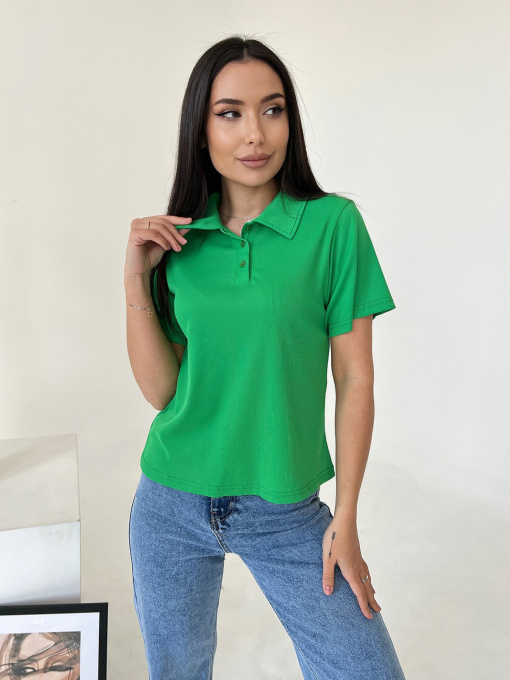 Поло ISSA Plus модель WN20-461_green Фото