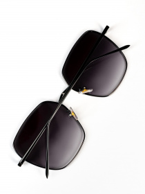 Очки ISSA Plus модель O1-69_black Фото