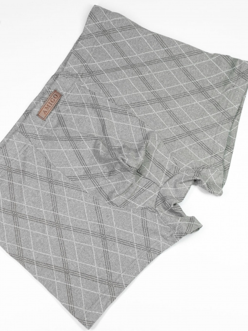 Труси ISSA Plus модель GN5-167_lightgray Фото