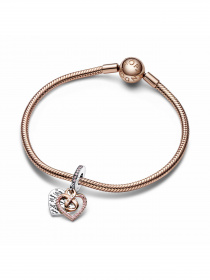 Класичні PANDORA Moments модель 782641C01 Фото