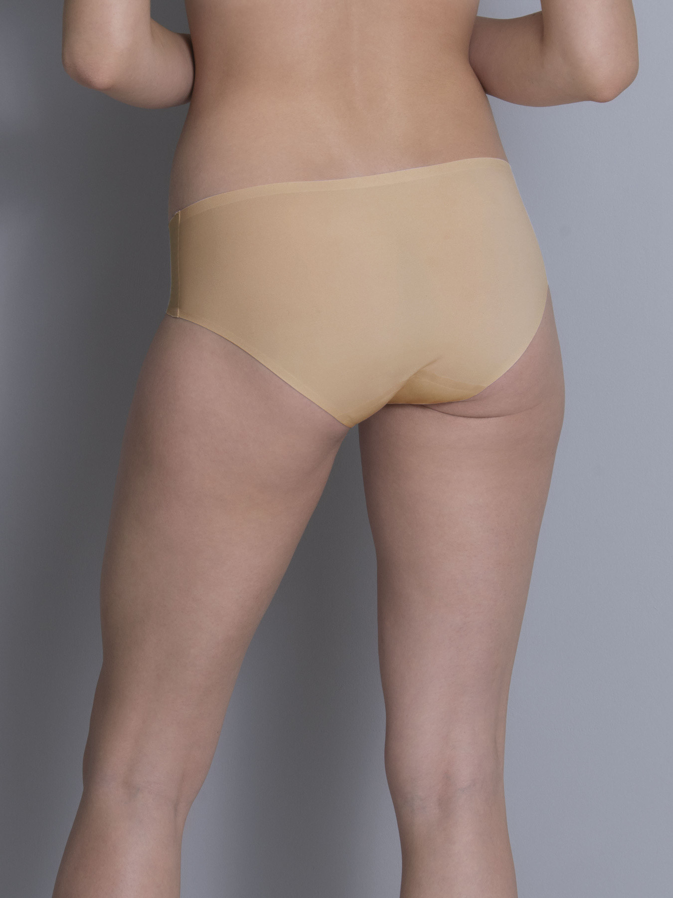 Трусы Anita модель 1342Essentials_Desert Фото