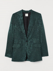 Піджак H&M модель 58500 Фото