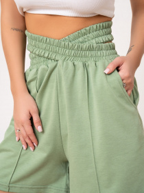 Шорты ISSA Plus модель 13885_olive Фото