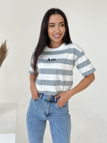 Футболка ISSA Plus модель WN20-429_grey Фото