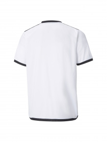 Футболка спортивна PUMA Teamliga Jersey Jr модель 704925 Фото