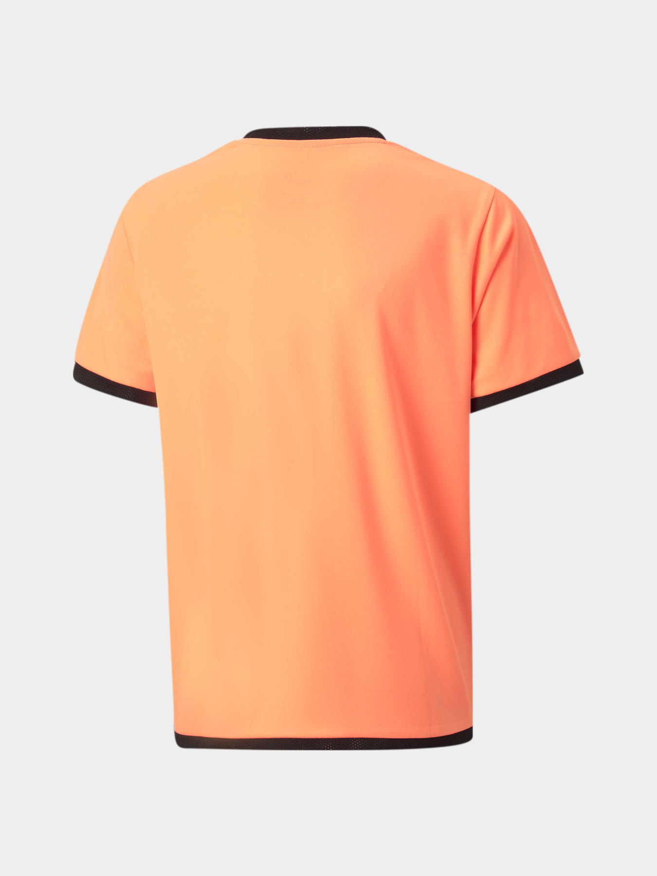 Футболка спортивная PUMA Teamliga Jersey Jr модель 704925 Фото