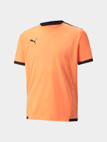 Футболка спортивная PUMA Teamliga Jersey Jr модель 704925 Фото