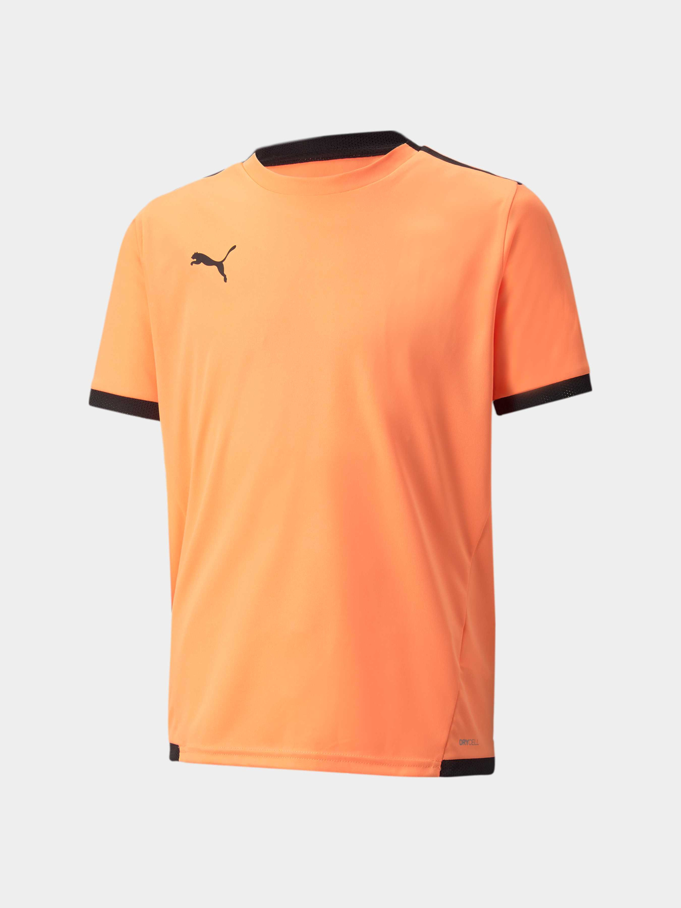 Спортивная футболка PUMA Teamliga Jersey Jr модель 704925 Фото