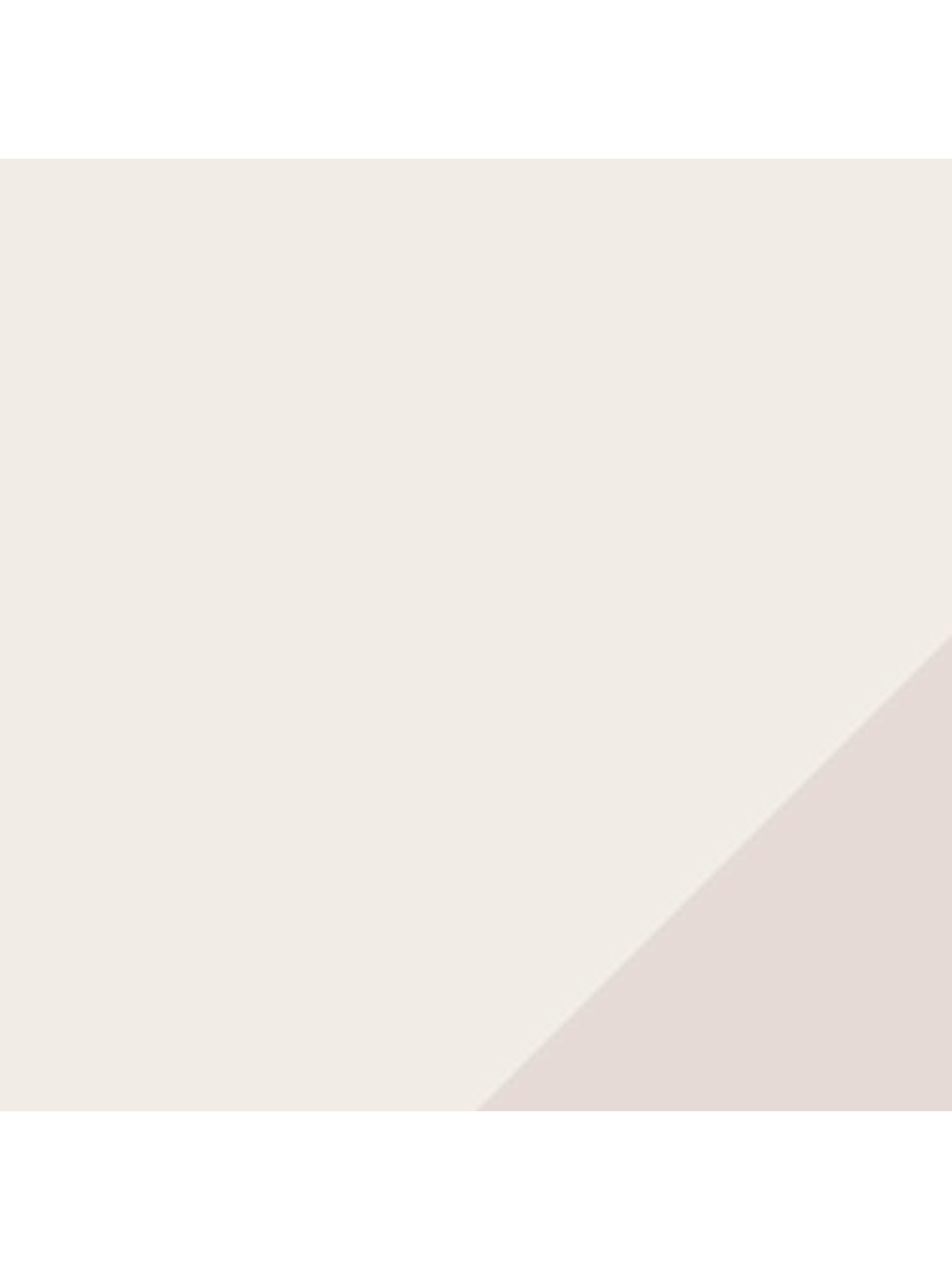 Набір шкарпеток PUMA Women Slouch Sock 2P модель 938005 Фото