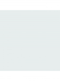 Набір шкарпеток PUMA Women Slouch Sock 2p модель 938005 Фото