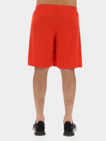 Шорты спортивные Lotto модель 215846_29P Фото