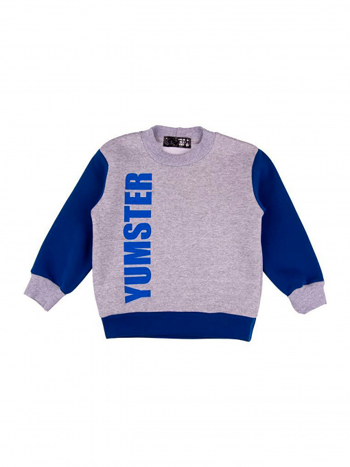 Свитшот YUMSTER модель YGG.22.09.001 Фото