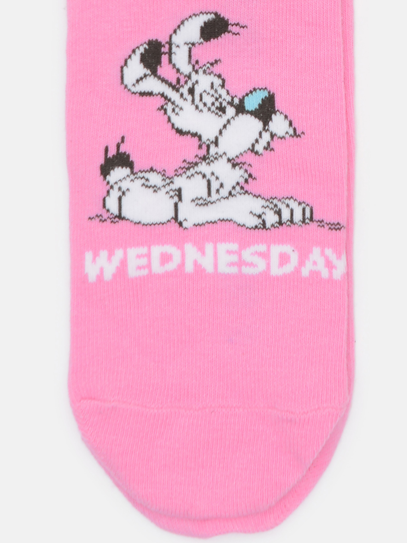 Набор носков C&A модель 60975 Фото