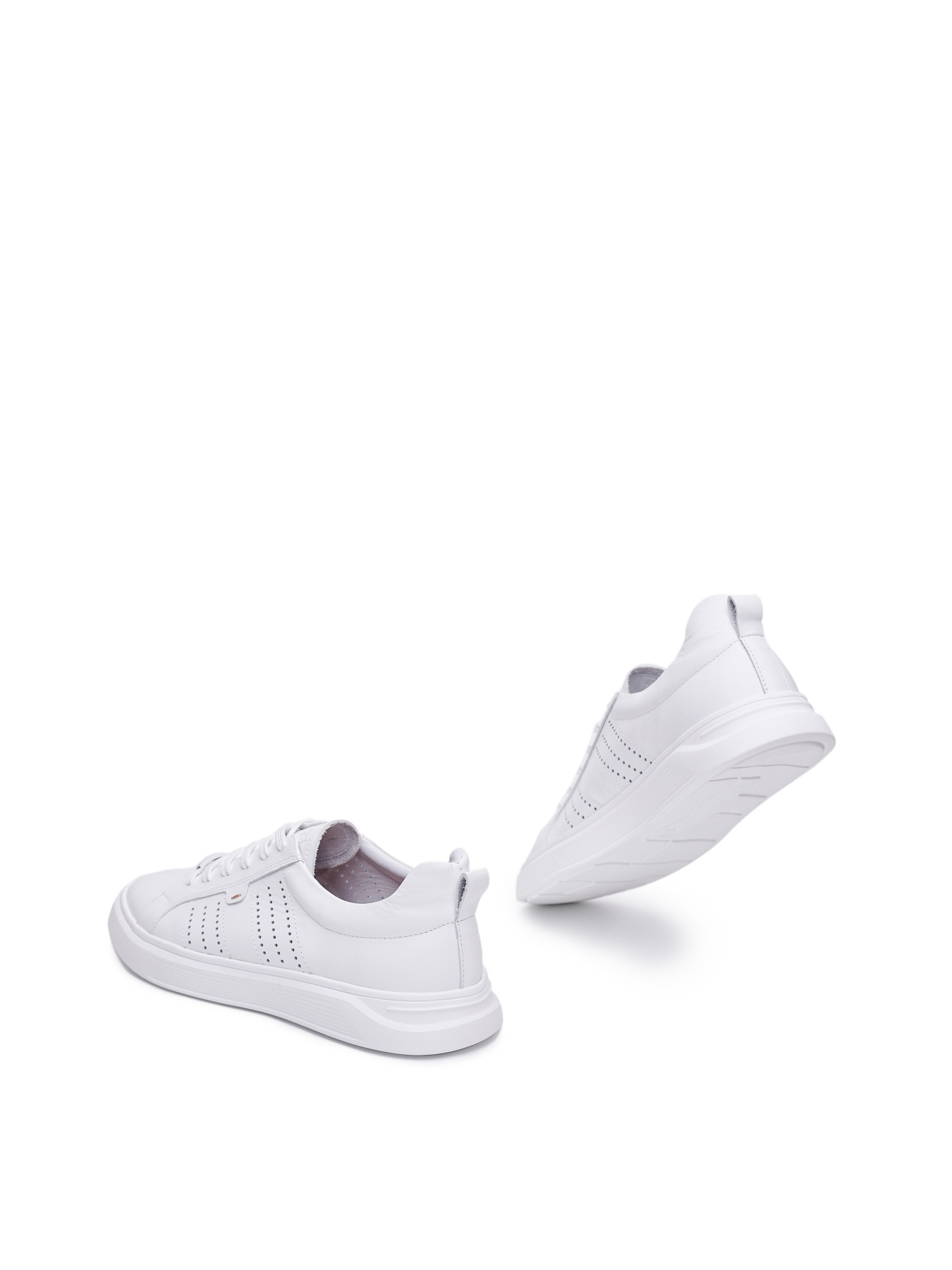 Кеди низькі Alex Bell модель 1169324 Кеди низькі Alex Bell модель 1169324 Фото