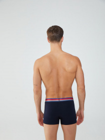 Набор трусов US Polo модель US.01.80475.VR033 Фото