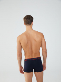 Набор трусов US Polo модель US.01.80480.VR033 Фото