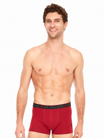 Набор трусов US Polo модель US.01.80480.VR046 Фото