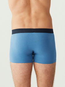 Набор трусов US Polo модель US.01.80256.VR013 Фото