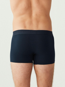 Набор трусов US Polo модель US.01.80256.VR013 Фото