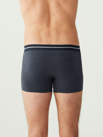 Набор трусов US Polo модель US.01.80306.VR024 Фото