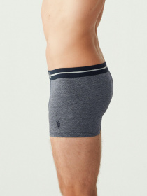 Набор трусов US Polo модель US.01.80306.VR024 Фото