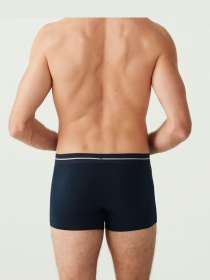 Набор трусов US Polo модель US.01.80328.VR034 Фото