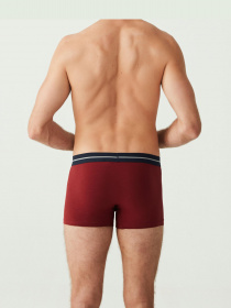 Набор трусов US Polo модель US.01.80328.VR034 Фото