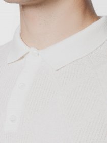 Поло Arber модель AN09.03.20 Фото