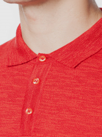 Поло Arber модель AN09.15.20 Фото