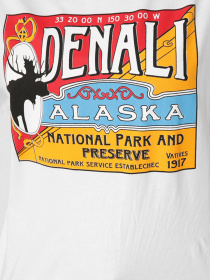 Футболка CARICA модель 326073 Фото