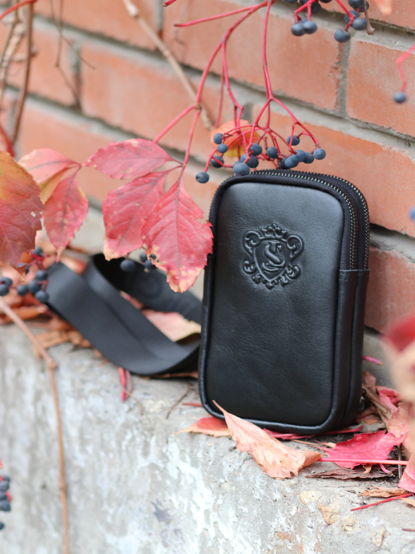 Крос-боді Legessy модель V_001_G_B Фото