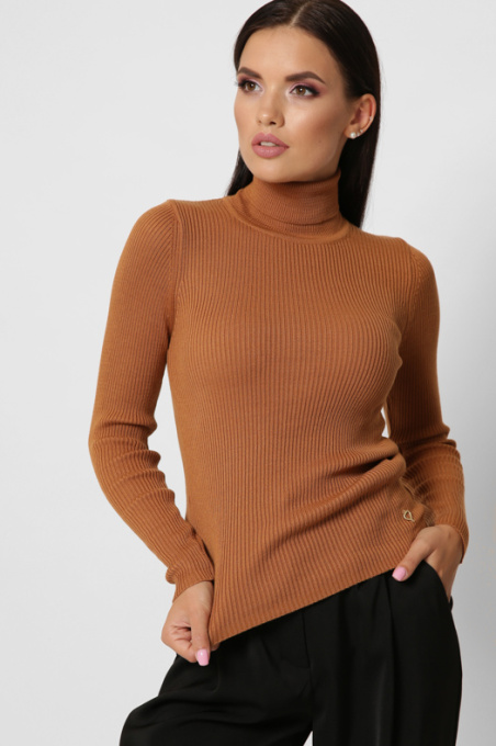 Водолазка CARICA модель SV651226 Фото