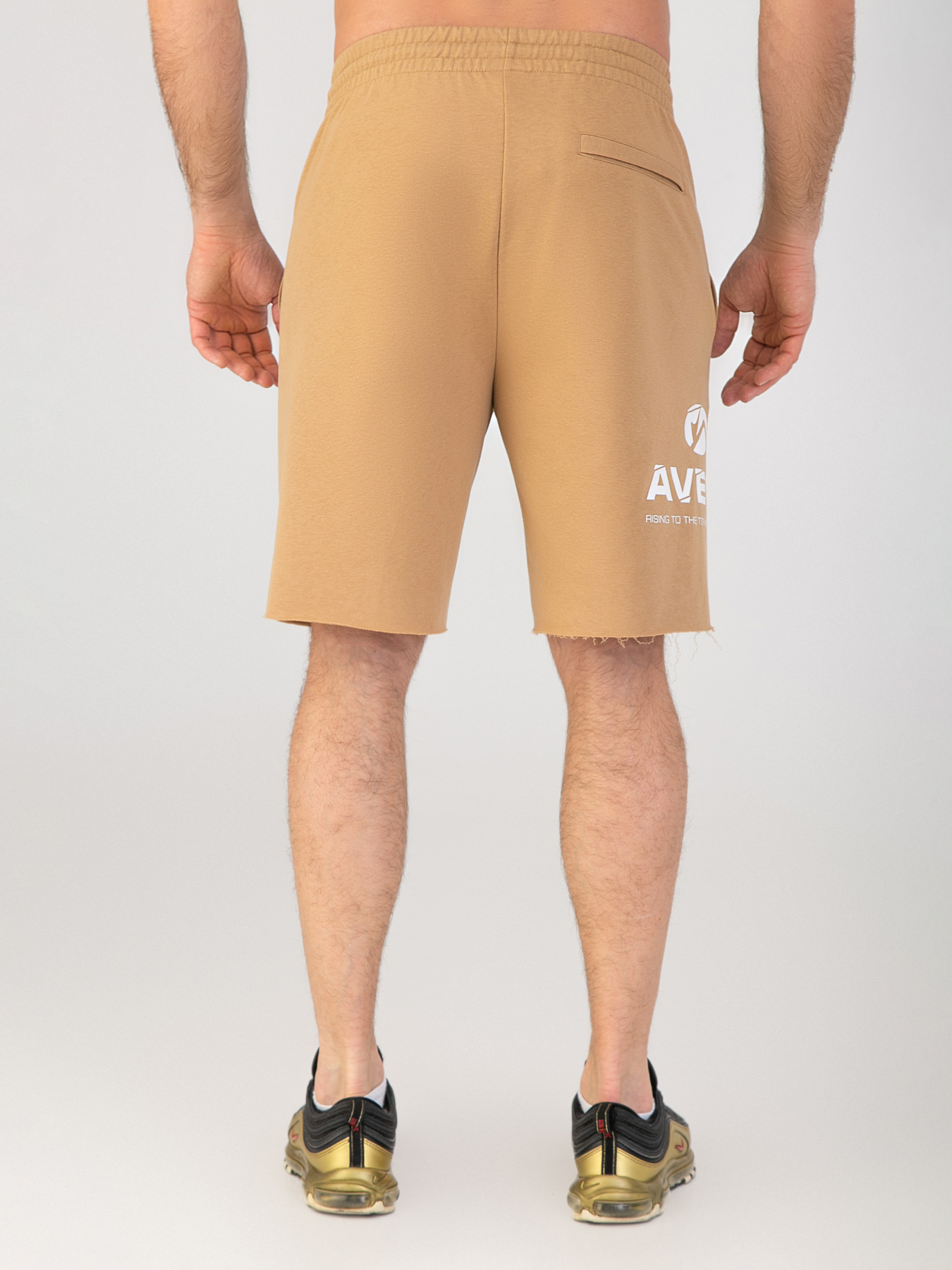 Шорты спортивные AVECS модель 30455-42 Фото