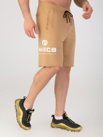 Спортивні шорти AVECS модель 30455-42 Фото
