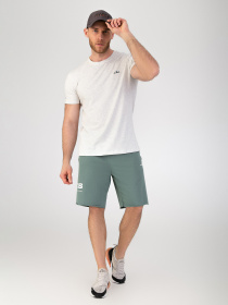 Спортивні шорти AVECS модель 30455-29 Фото