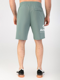 Спортивні шорти AVECS модель 30455-29 Фото