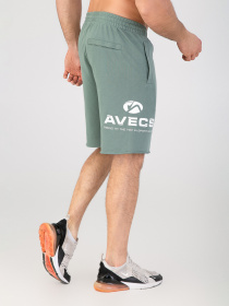Спортивні шорти AVECS модель 30455-29 Фото