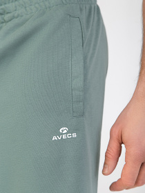 Спортивні шорти AVECS модель 30455-29 Фото