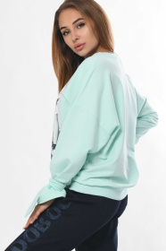 Свитшот CARICA модель SV758470047 Фото