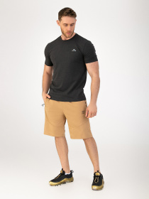 Шорты спортивные AVECS модель 30458-42 Фото