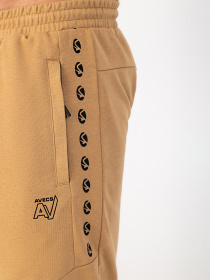 Шорты спортивные AVECS модель 30458-42 Фото