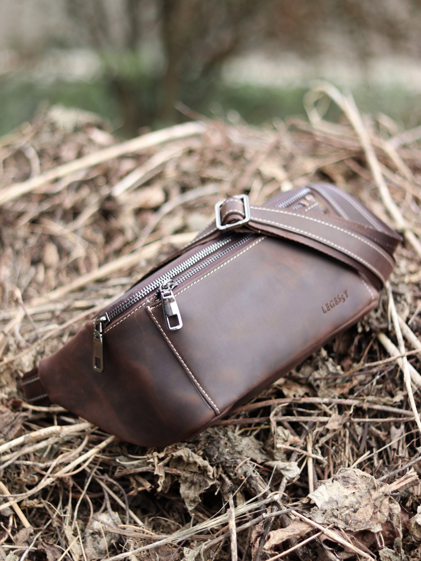 Поясная сумка Legessy модель CH_233_BROWN_B Фото