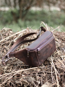 Поясна сумка Legessy модель CH_233_BROWN_B Фото